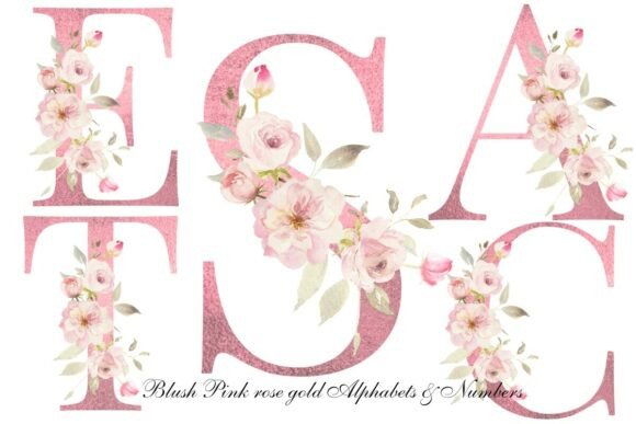 Download Blush Pink Rose Floral Alphabet Clipart - Pink Collection