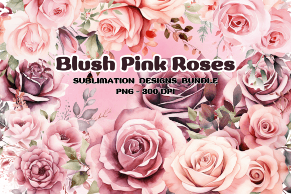 Download Blush Pink Roses Flowers Watercolor PNG - Pink Collection