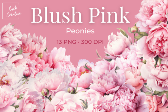 Download Blush Pink Peonies Watercolor Flowers - Pink Collection