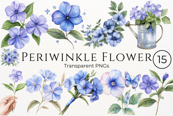 Download Periwinkle Flower Watercolor Cliparts - Periwinkle Collection